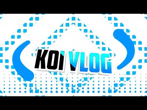 intro koi vlog
