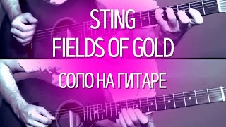 STING - Fields Of Gold - на акустической гитаре для начинающих (соло из песни)