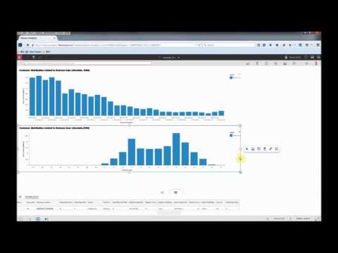 IBM Watson Analytics + dashDB 中文旁白 : 真實數據 化妝品調查分析 零售分析 促銷活動分析