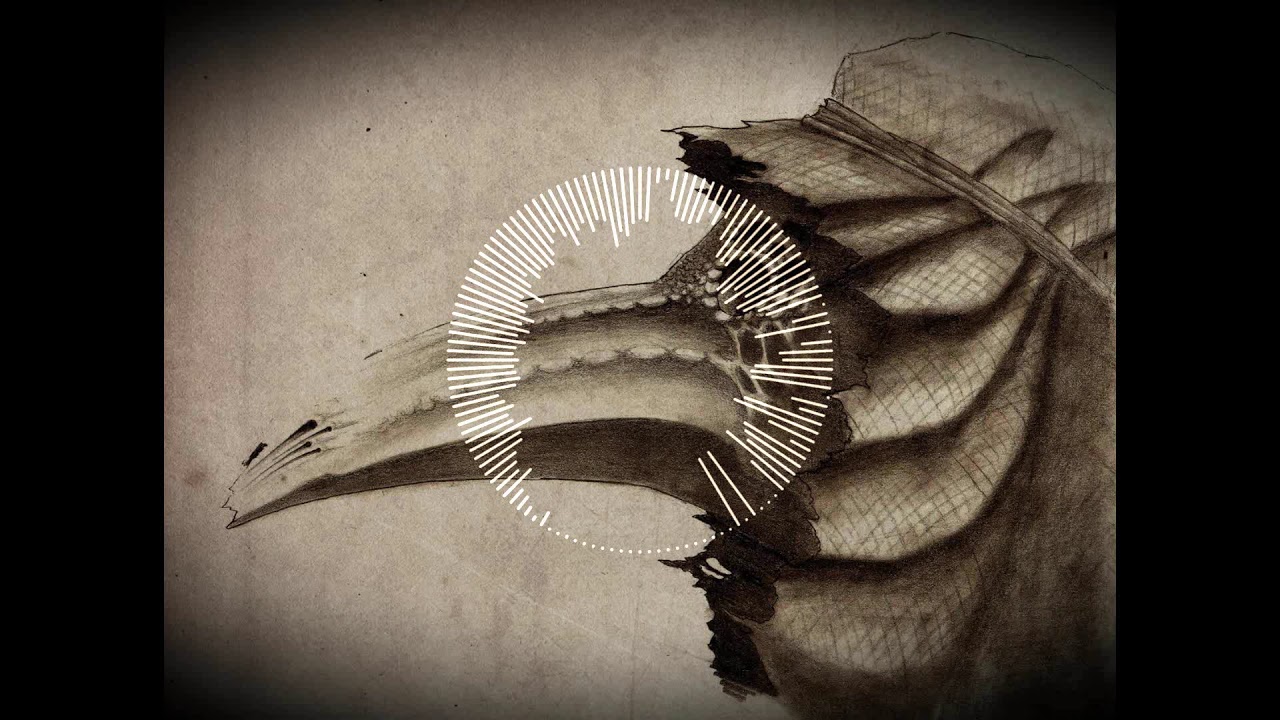 the plague doctor bandcamp the plague doctor bandcamp