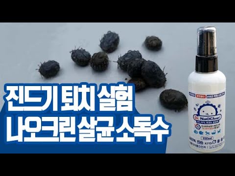 나오크린으로 발려동물 및 생활 진드기 잡기(?)