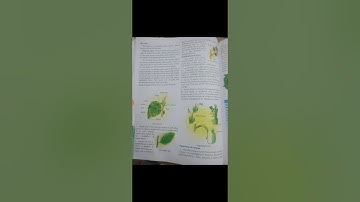 class.6th  chapter .9 plants: Form and  Function  subject science