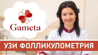 Что такое Фолликулометрия: как проводится УЗИ, на какой день цикла. Созревание фолликула в яичнике