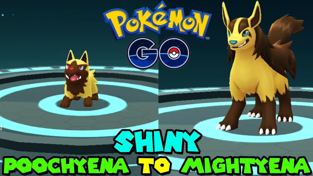 images Shiny Mightyena Evolution evolving shiny poochyena to shiny mightyena in pokemon go