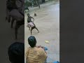 rajeev786(1)