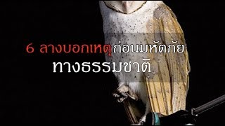 7 ลางบอกเหตุก่อนมหันตภัยทางธรรมชาติ