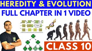 HEREDITY AND EVOLUTION (FULL CHAPTER) CLASS 10 CBSE