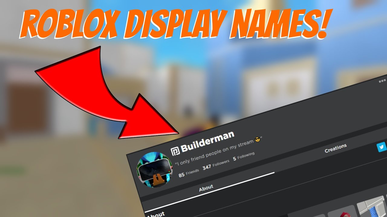 Roblox Display Name Ideas