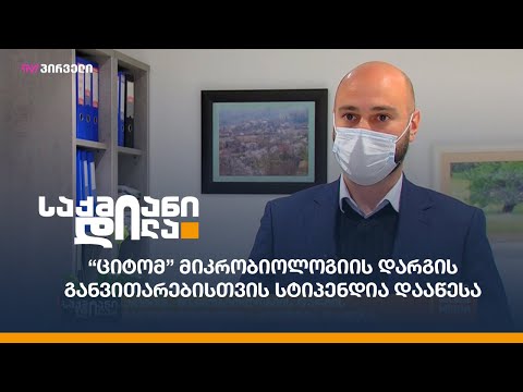 “ციტომ” მიკრობიოლოგიის დარგის განვითარებისთვის სტიპენდია დააწესა