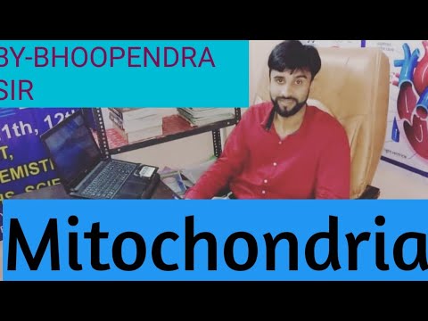 Mitochondria (Biology) - YouTube