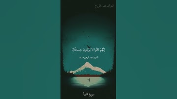 لا يَذُوقُونَ فِيها بَرْداً وَ لا شَراباً|سورة النبأ|القارئ عبد الرحمن مسعد|#قرآن #عبدالرحمن_مسعد