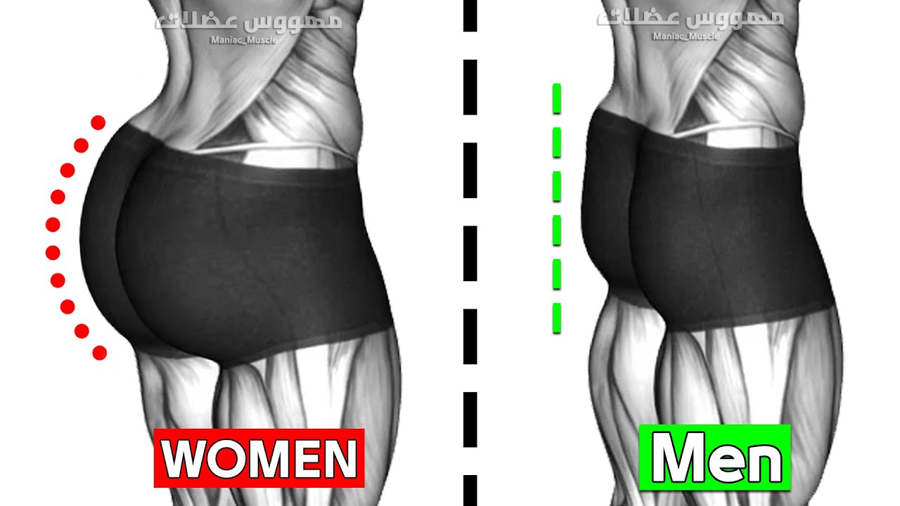 8 Perfect Exercises Glutes Workout For Men And Women YouTube 8 Perfect Exercises Glutes Workout For Men And Women YouTube