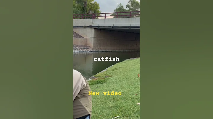 New video! #arizonafishing #azfishing #catfish #azfish #arizona
