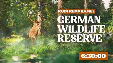 Creating A REALISTIC and Mystical Forest Zoo in Germany in 6 hours