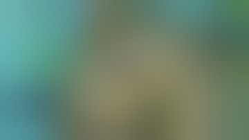 TROVE gunslinger part 1