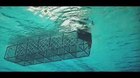 Extreme wave interaction with the SeaFisher model during testing at the TCOMS Ocean Basin.