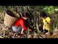 Cut bamboo shoots to cook with chicken for special recipe- Chicken delicious food- My Food Daily II