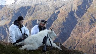 Alaskan Mountain Goat Hunt with Winchester 350 Legend