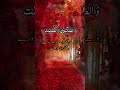 ان المسلمین والمسلمات | Quran recitation| #Quran #madina #islamicstatus #islam