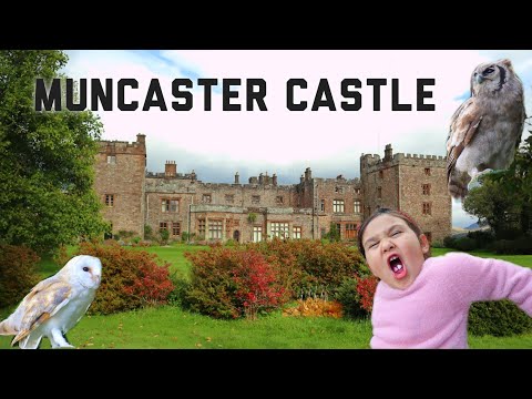 #travel #adventure #MUNCASTERcastle #LakeDistrict #Owl #Birdshow Muncaster Castle Adventure 13Oct20
