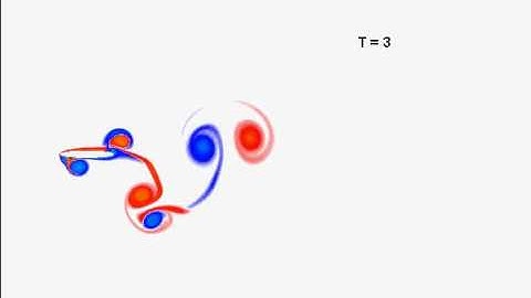 Vorticity Contour Behind a Heaving Ellipse