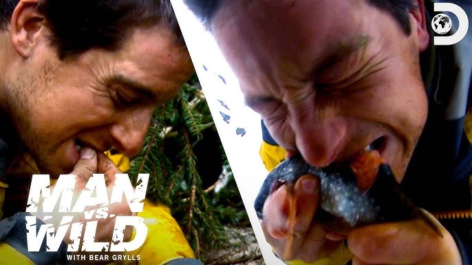 Unlocking the Secrets of Bear Grylls' High Mountain Survival in Scotland, Man Vs. Wild