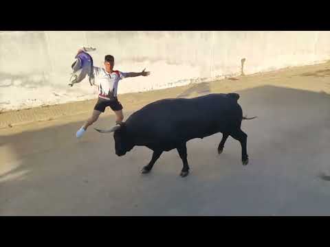 TODOS los TOROS de las FIESTAS DE VALRÍO 2023