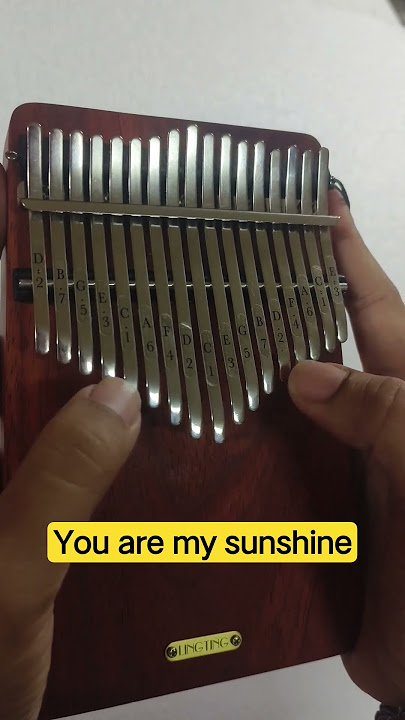cover lagu!! you are my sunshine by:kalimba #kalimbacover #kalimbamusik #reels #music #feedshorts