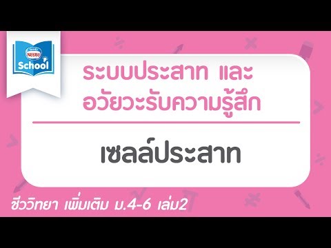 8.2 เซลล์ประสาท