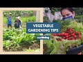 Neri Miranda Shares Vegetable Gardening Tips