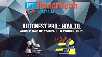 Metalix Autonest V17: Single DXF of Parts to Production