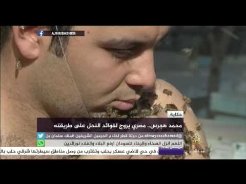 حكاية محمد هجرس مصري يروج لفوائد النحل على طريقته