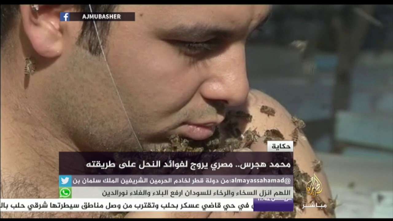 حكاية - محمد هجرس.. مصري يروج لفوائد النحل على طريقته