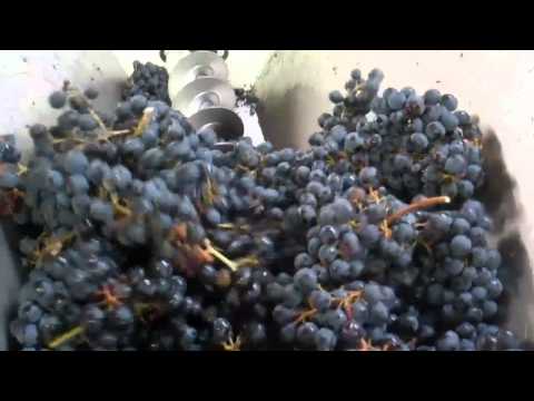 Hermit Woods Winery The Big Crush!