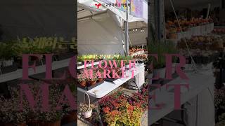 🌼고양플라워마켓에서 꽃과 소품 구경하자! 귀여운 소품들로 집을 꾸미고, 향긋한 꽃들로 힐링도 하고! #shorts 고양플라워마켓 #고양국제꽃박람회 #2025고양국제꽃박람회