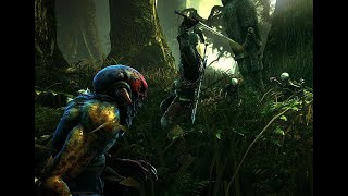 The witcher 2  Contracts - The Nekker Gameplay