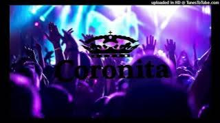 DJ LION - JUNGLE X FIESTA 2025 REMIX😉🎶☀️