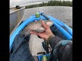 MN trout fishing