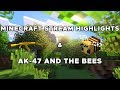 AK-47 And The Bees - Twitch Stream Highlights 1