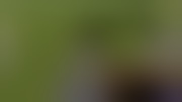 Poly Planet - Voxel Mesh (Terrain Test)