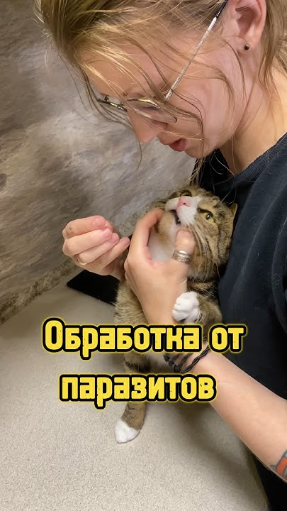 Обработка от паразитов 🪱 #питомцы #собака #котики #паразиты #глисты ...