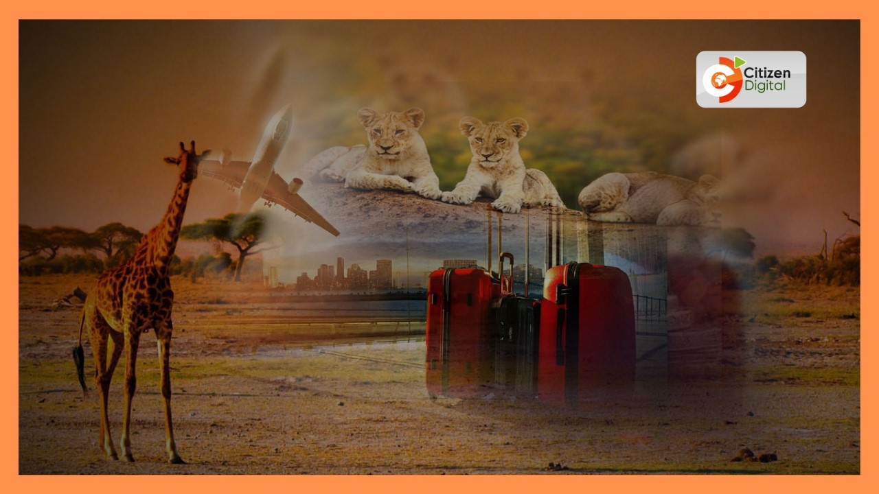 Serikali yaongeza vivutio vya watalii kaunti ya Kwale