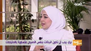 م. هبة جرار -اسس تنسيق النباتات في اناء واحد - صباح العربية