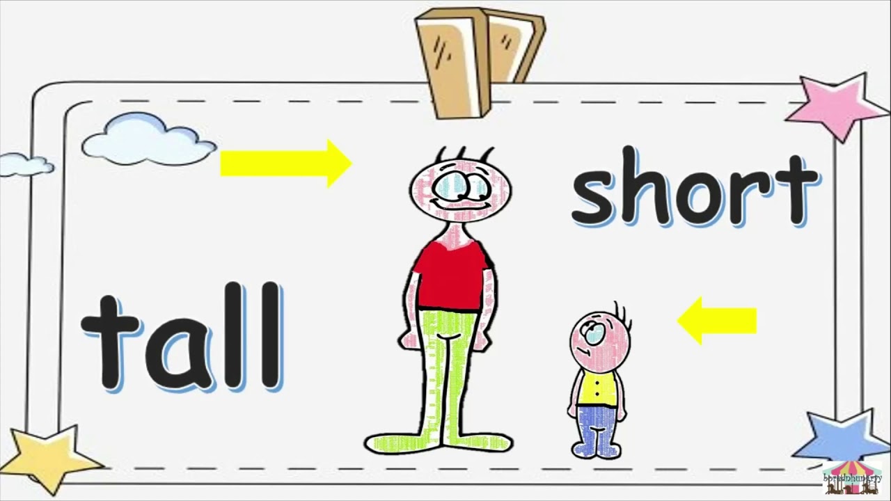 Let's learn about tall and short l Numeracy with Teacher Jo 