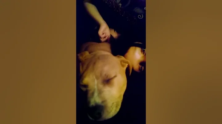 El Chapo snoring