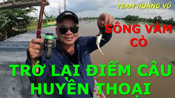 TRỞ LẠI ĐIỂM CÂU CÁ DỨA SÔNG VÀM CỎ - LONG AN