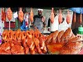 Big Fish Fry Selling 500 Fish for Day | Hyderabad Street Food | #StreetFoodChannel