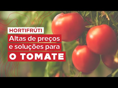 Fique atualizado sobre o mercado do tomate em entrevista exclusiva na Hortitec 2022