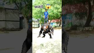 Summoning Jutsu ☠️🤝 #shorts #viral #tech #editor #editing #trending #for you #for you page …”