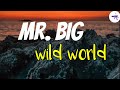 MR.BIG - WILD WORLD (lirik dan terjemahan b.indo)